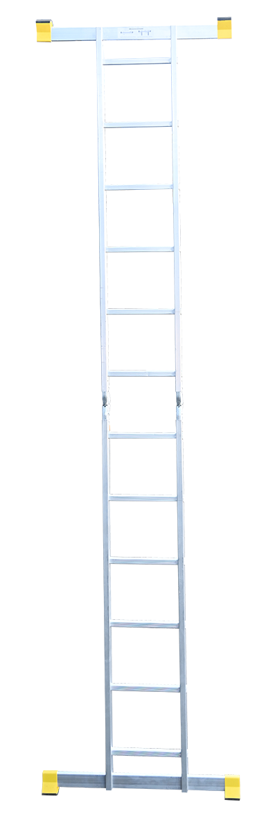 T 206